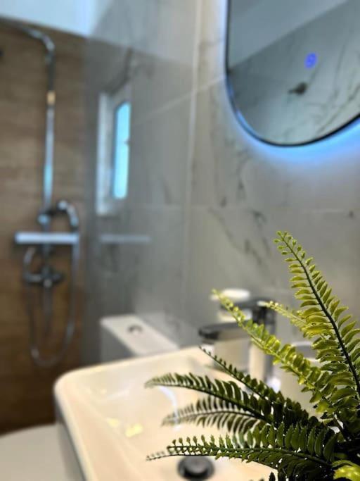 Appartamento Exquisite Penthouse With Breathtaking Acropolis Panorama View Atene Esterno foto